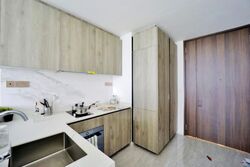 Leedon Green (D10), Condominium #521144221